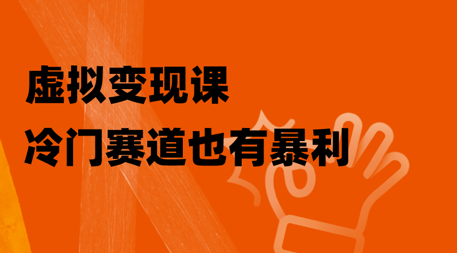 虚拟变现课，冷门赛道也有暴利，手把手教你玩转冷门私域-爱赚项目网