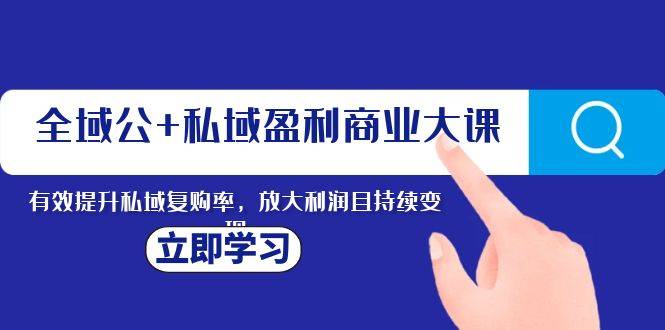 全域公+私域盈利商业大课，有效提升私域复购率，放大利润且持续变现-爱赚项目网