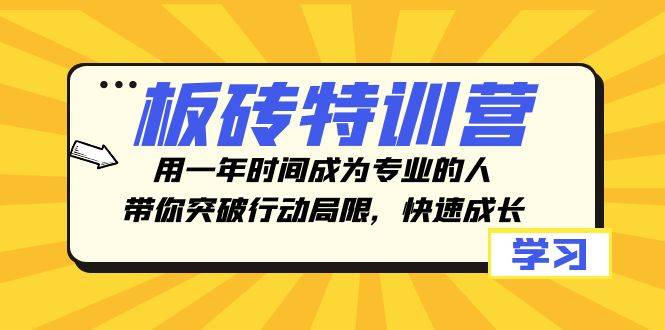 板砖特训营，用一年时间成为专业的人，带你突破行动局限，快速成长-爱赚项目网