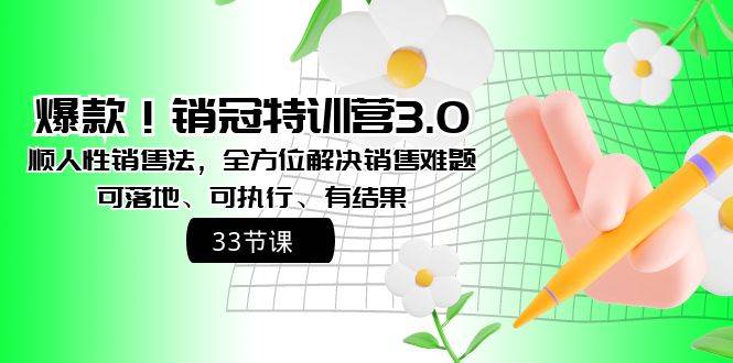 爆款！销冠特训营3.0之顺人性销售法，全方位解决销售难题、可落地、可执…-爱赚项目网