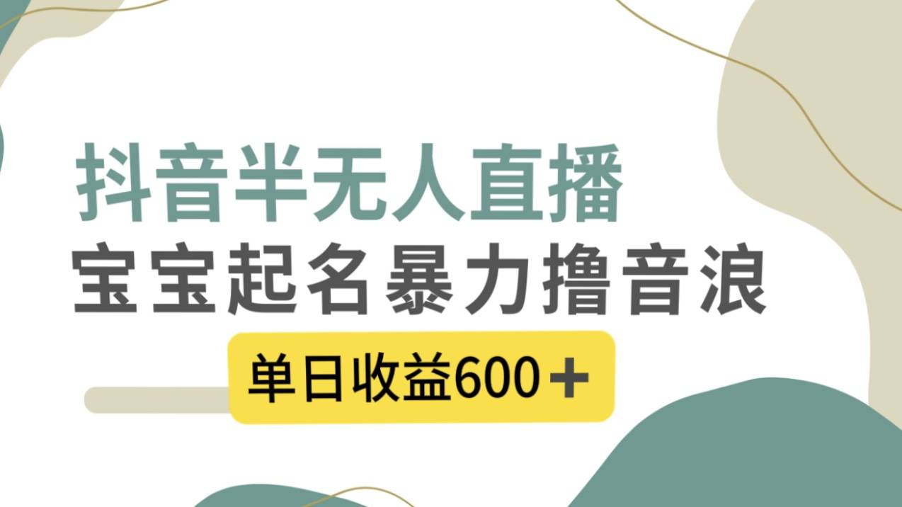 抖音半无人直播，宝宝起名，暴力撸音浪，单日收益600+-爱赚项目网