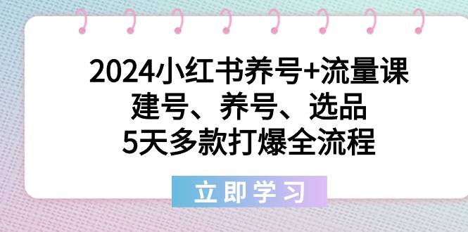 2024小红书养号+流量课：建号、养号、选品，5天多款打爆全流程-爱赚项目网