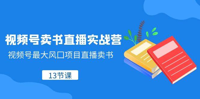 视频号-卖书直播实战营，视频号最大风囗项目直播卖书（13节课）-爱赚项目网