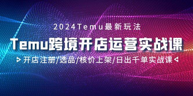 2024Temu跨境开店运营实战课，开店注册/选品/核价上架/日出千单实战课-爱赚项目网