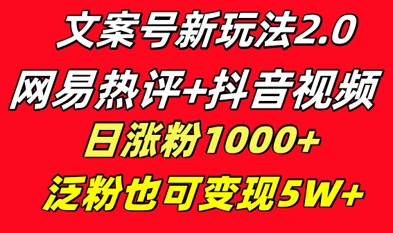 文案号新玩法 网易热评+抖音文案 一天涨粉1000+ 多种变现模式 泛粉也可变现-爱赚项目网