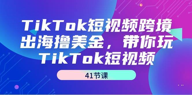 TikTok短视频跨境出海撸美金，带你玩TikTok短视频（41节课）-爱赚项目网