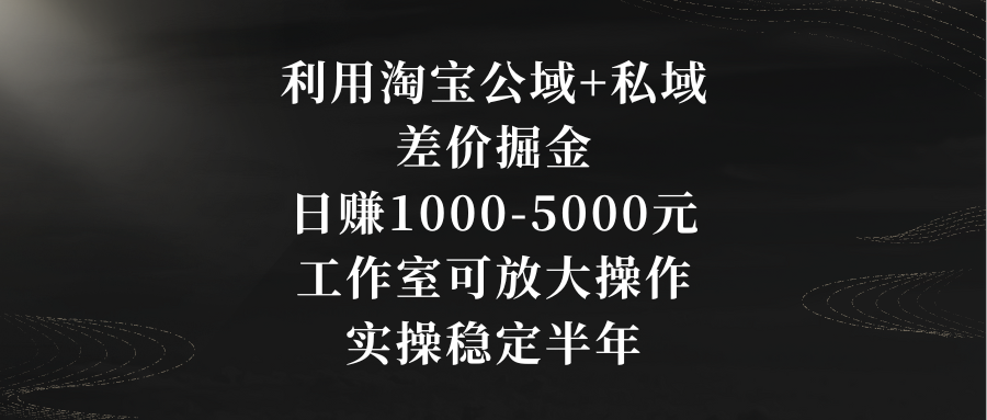 利用淘宝公域+私域差价掘金，日赚1000-5000元，工作室可放大操作，实操…-爱赚项目网