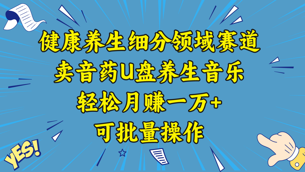 健康养生细分领域赛道，卖音药U盘养生音乐，轻松月赚一万+，可批量操作-爱赚项目网