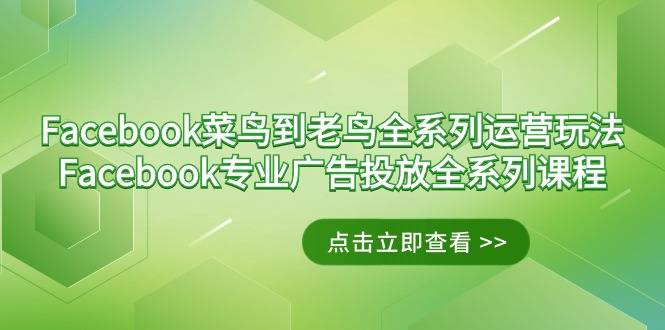 Facebook-菜鸟到老鸟全系列运营玩法+Facebook-专业广告投放全系列课程-爱赚项目网