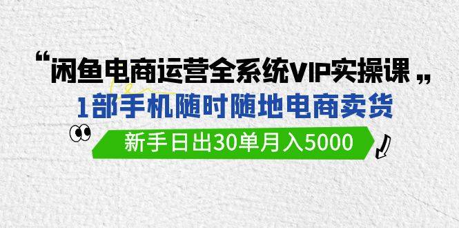 闲鱼电商运营全系统VIP实战课，1部手机随时随地卖货，新手日出30单月入5000-爱赚项目网