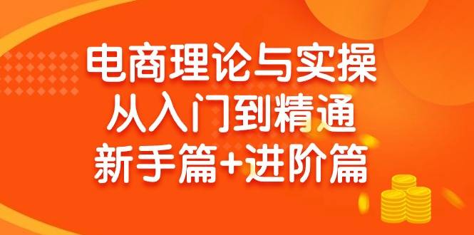 电商理论与实操从入门到精通：抖店+淘系+多多，新手篇+进阶篇-爱赚项目网