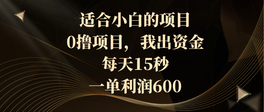 适合小白的项目，0撸项目，我出资金，每天15秒，一单利润600-爱赚项目网