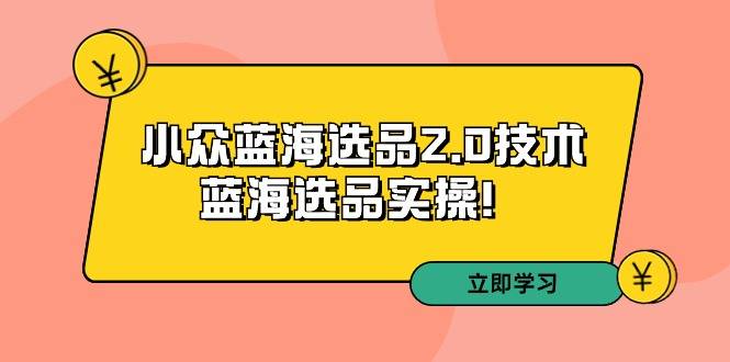 拼多多培训第33期：小众蓝海选品2.0技术-蓝海选品实操！-爱赚项目网