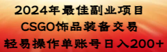 2024年最佳副业项目 CSGO饰品装备交易 轻易操作单账号日入200+-爱赚项目网