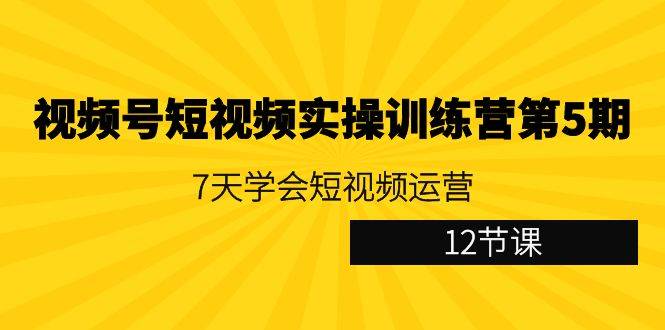 视频号短视频实操训练营第5期：7天学会短视频运营（12节课）-爱赚项目网