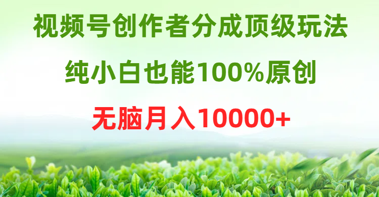 视频号创作者分成顶级玩法，纯小白也能100%原创，无脑月入10000+-爱赚项目网