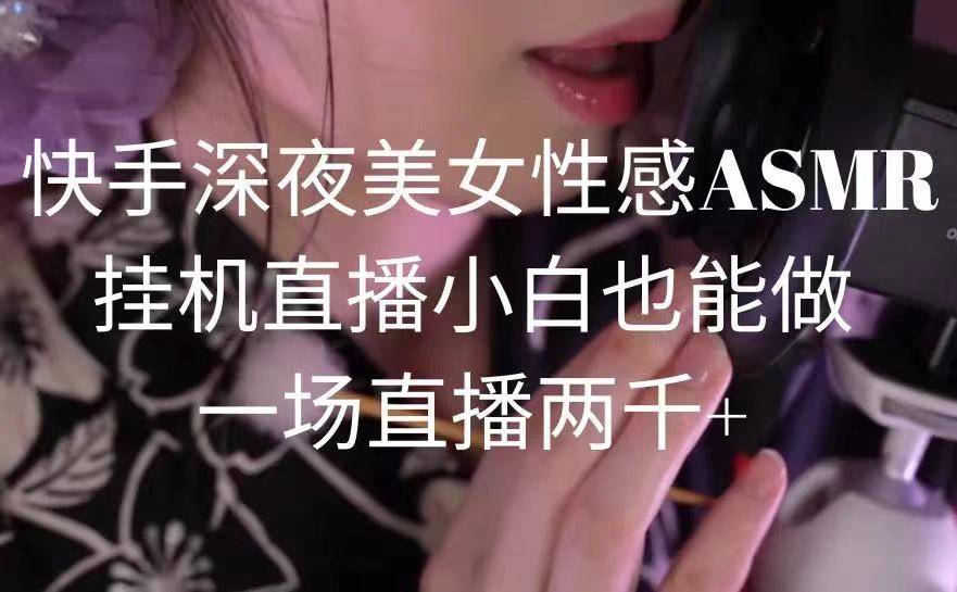 快手深夜美女性感ASMR挂机直播，小白也能做，一场直播两千+-爱赚项目网