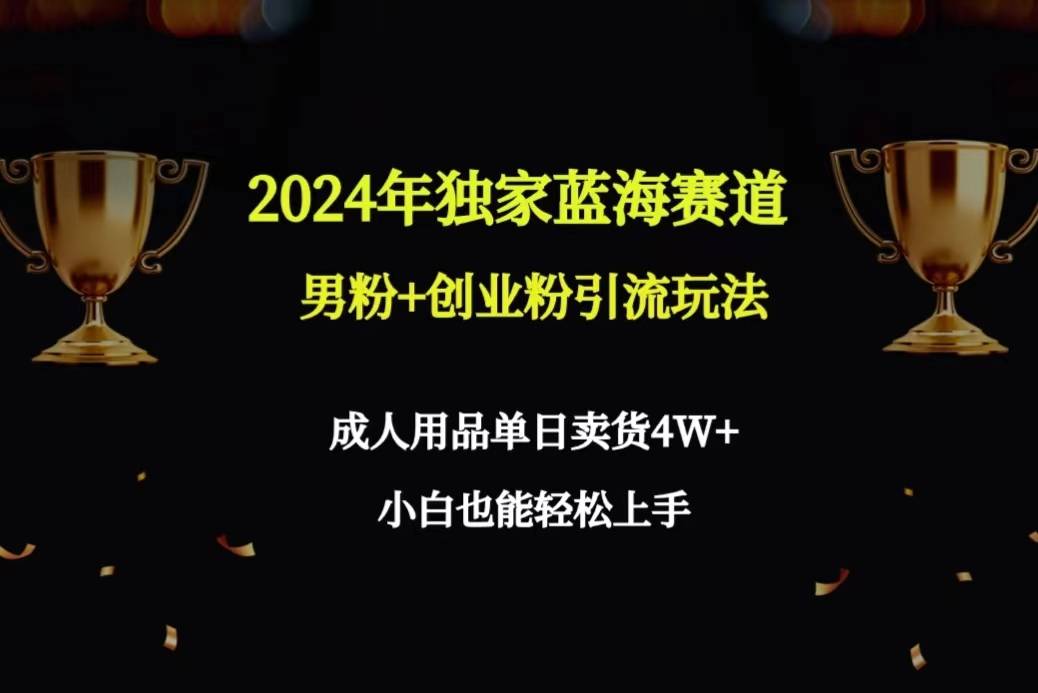 2024年独家蓝海赛道男粉+创业粉引流玩法，成人用品单日卖货4W+保姆教程-爱赚项目网