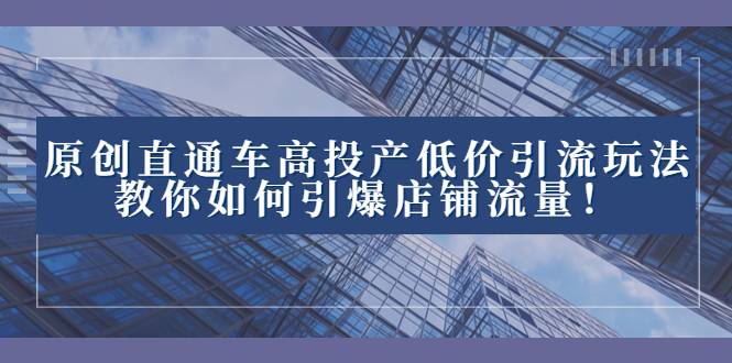 2023直通车高投产低价引流玩法，教你如何引爆店铺流量！-爱赚项目网