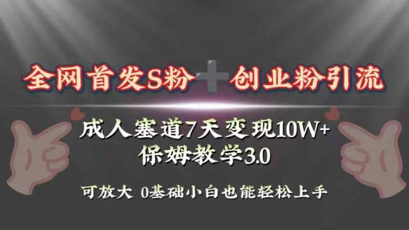 全网首发s粉加创业粉引流变现，成人用品赛道7天变现10w+保姆教学3.0-爱赚项目网