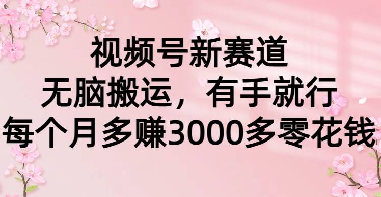 视频号新赛道，无脑搬运，有手就行，每个月多赚3000多零花钱-爱赚项目网