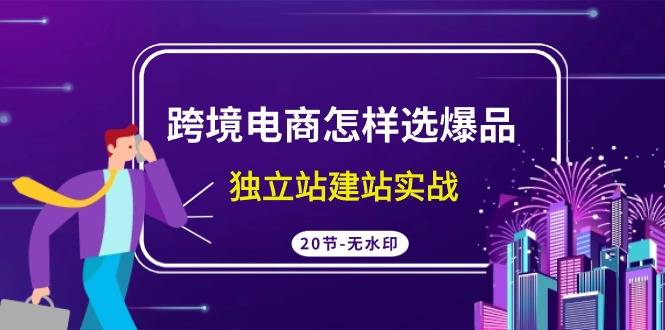 跨境电商怎样选爆品，独立站建站实战（20节高清无水印课）-爱赚项目网