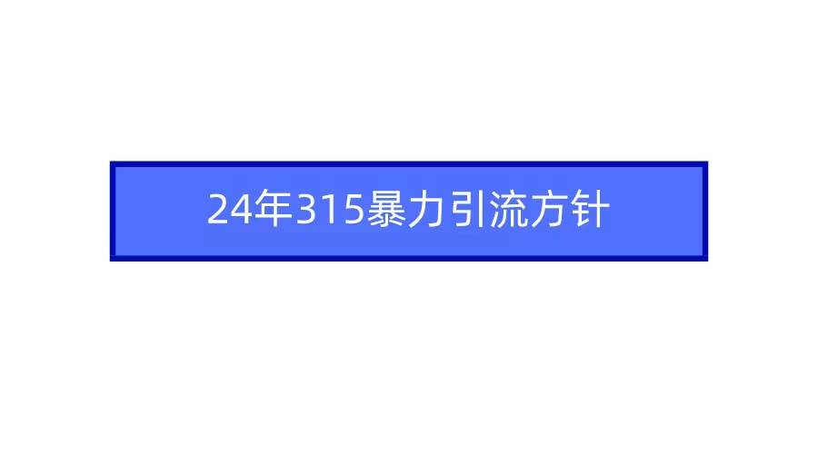 2024年315暴力引流方针-爱赚项目网