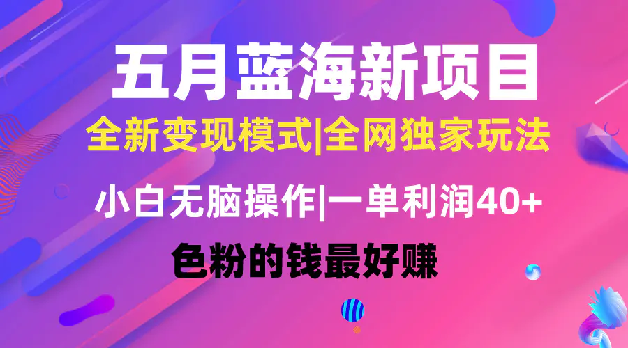 五月蓝海项目全新玩法，小白无脑操作，一天几分钟，矩阵操作，月入4万+-爱赚项目网