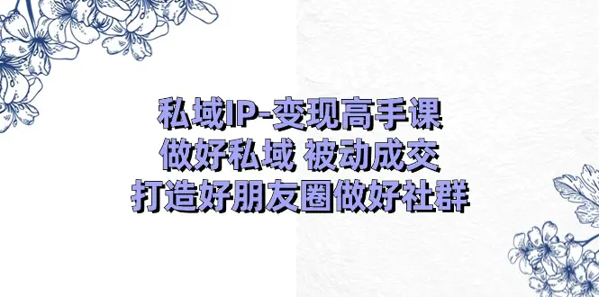 私域IP-变现高手课：做好私域 被动成交，打造好朋友圈做好社群（18节）-爱赚项目网