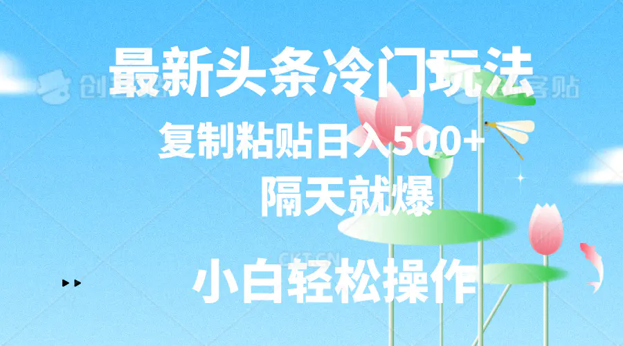 最新头条冷门玩法，隔天就爆，复制粘贴日入500+-爱赚项目网