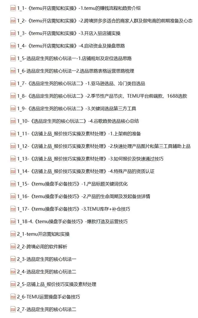 图片[2]-2024-TEMU拼多多·跨境开店、运营、选品（25节视频课）-爱赚项目网