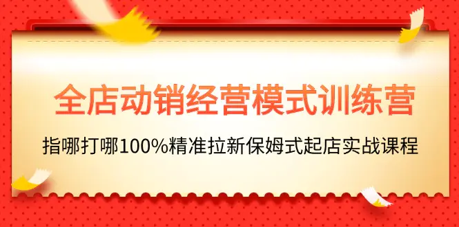 全店动销-经营模式训练营，指哪打哪100%精准拉新保姆式起店实战课程-爱赚项目网