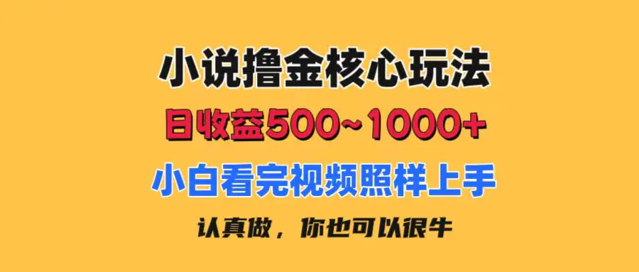 小说撸金核心玩法，日收益500-1000+，小白看完照样上手，0成本有手就行-爱赚项目网