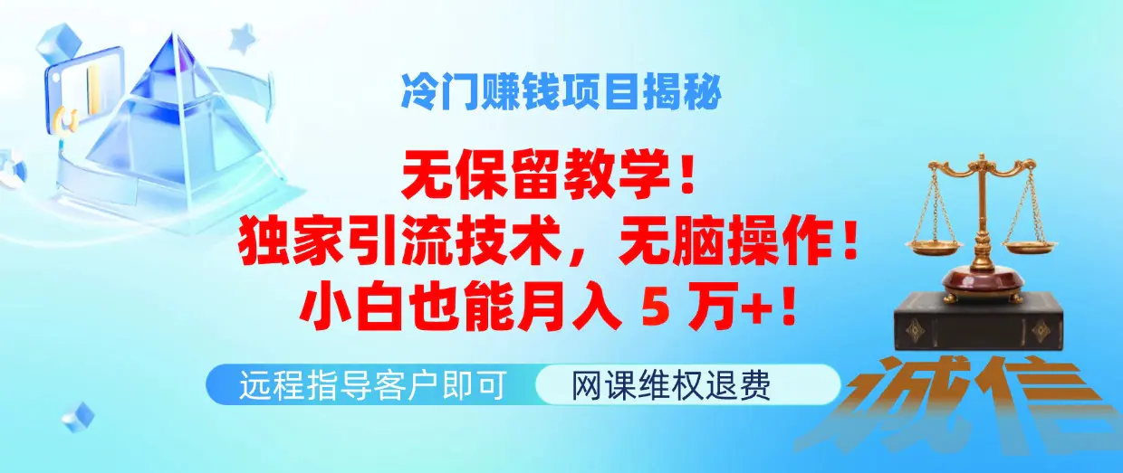 冷门赚钱项目无保留教学！独家引流技术，无脑操作！小白也能月入5万+！-爱赚项目网