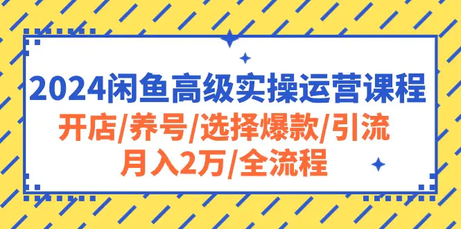 2024闲鱼高级实操运营课程：开店/养号/选择爆款/引流/月入2万/全流程-爱赚项目网