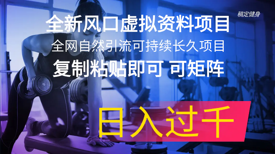 全新风口虚拟资料项目 全网自然引流可持续长久项目 复制粘贴即可可矩阵…-爱赚项目网