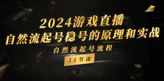 2024游戏直播-自然流起号稳号的原理和实战，自然流起号流程（11节）-爱赚项目网