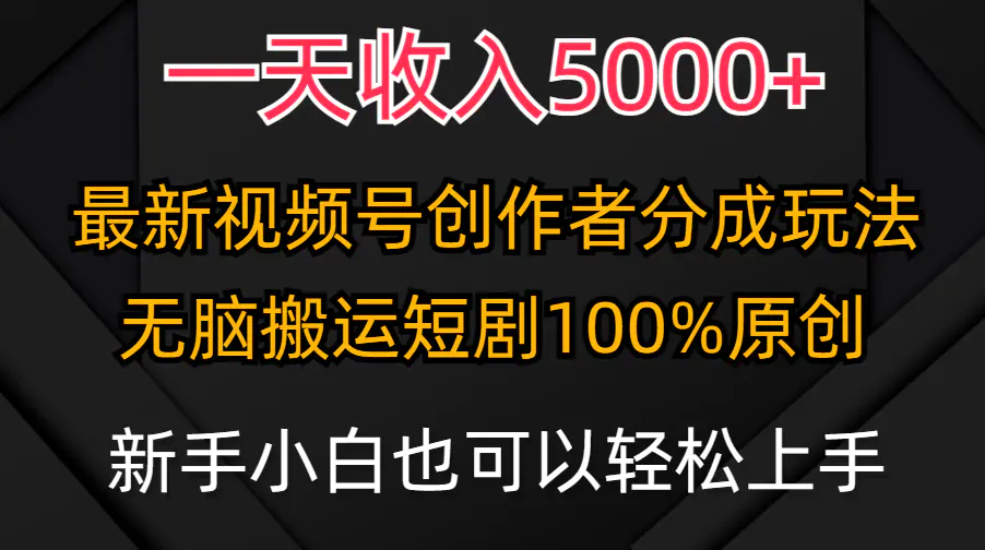 一天收入5000+，视频号创作者分成计划，最新100%原创玩法，小白也可以轻…-爱赚项目网