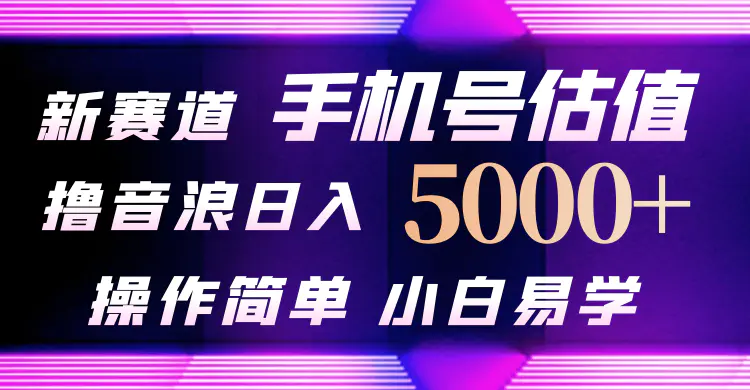 抖音不出境直播【手机号估值】最新撸音浪，日入5000+，简单易学，适合…-爱赚项目网