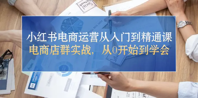 小红书电商运营从入门到精通课，电商店群实战，从0开始到学会-爱赚项目网