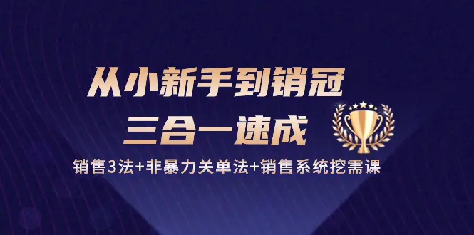 从小新手到销冠 三合一速成：销售3法+非暴力关单法+销售系统挖需课 (27节)-爱赚项目网