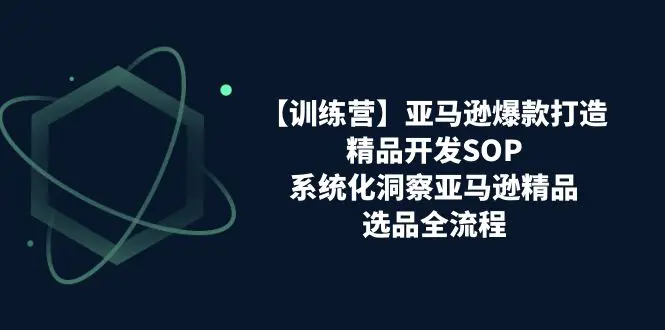 【训练营】亚马逊爆款打造之精品开发SOP，系统化洞察亚马逊精品选品全流程-爱赚项目网