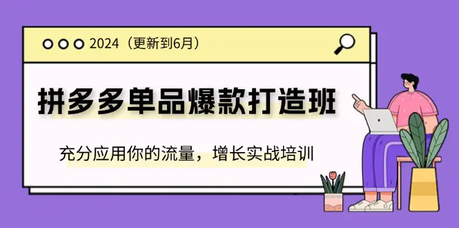 2024拼多多-单品爆款打造班(更新6月)，充分应用你的流量，增长实战培训-爱赚项目网