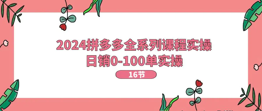 2024拼多多全系列课程实操，日销0-100单实操【16节课】-爱赚项目网