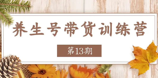 养生号-带货训练营【第13期】收益更稳定的玩法，让你带货收益爆炸-爱赚项目网