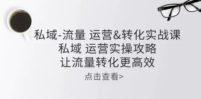 私域-流量 运营&转化实操课：私域 运营实操攻略 让流量转化更高效-爱赚项目网