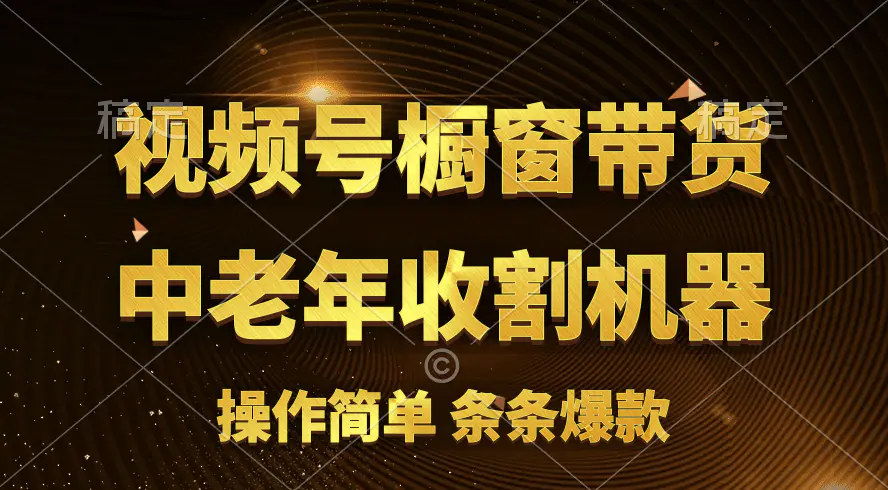 [你的孩子成功取得高位]视频号最火爆赛道，橱窗带货，流量分成计划，条…-爱赚项目网