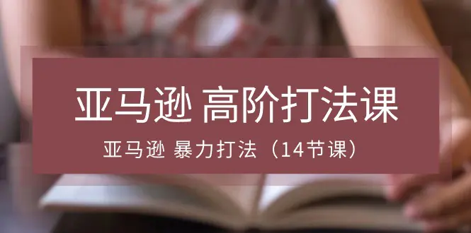 亚马逊 高阶打法课，亚马逊 暴力打法（14节课）-爱赚项目网