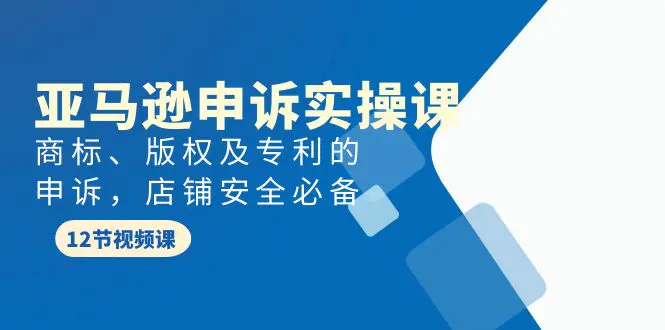 亚马逊-申诉实战课，商标、版权及专利的申诉，店铺安全必备-爱赚项目网